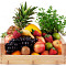 Fruitbox